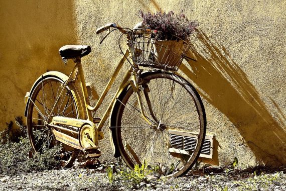 Albero degli zoccoli: alla scoperta dei luoghi con un tour in bicicletta